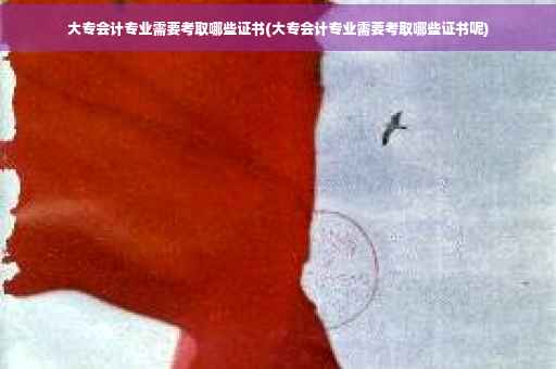 大专会计专业需要考取哪些证书(大专会计专业需要考取哪些证书呢)