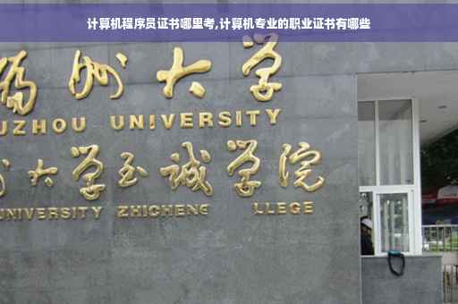 计算机程序员证书哪里考,计算机专业的职业证书有哪些