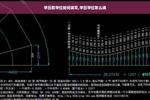 学历和学位如何填写,学历学位怎么填