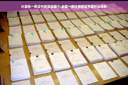 计算机一级证书类型选哪个,全国一级计算机证书是什么样的