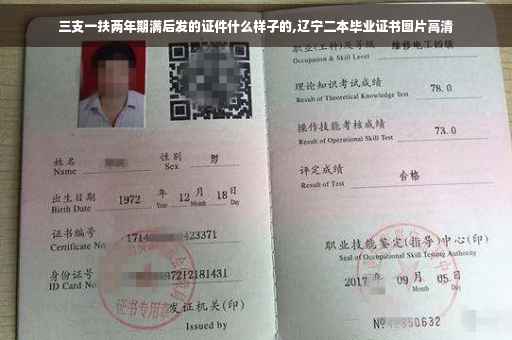三支一扶两年期满后发的证件什么样子的,辽宁二本毕业证书图片高清