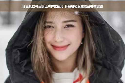 计算机软考高级证书样式图片,计算机初级技能证书有哪些