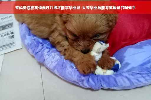 专科类院校英语要过几级才能拿毕业证-大专毕业后能考英语证书吗知乎