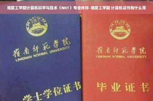 淮阴工学院计算机科学与技术（NIIT）专业咋样-淮阴工学院 计算机证书有什么用