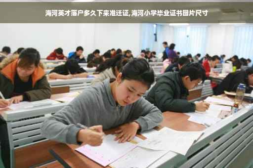 海河英才落户多久下来准迁证,海河小学毕业证书图片尺寸