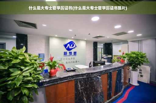 什么是大专士官学历证书(什么是大专士官学历证书图片)