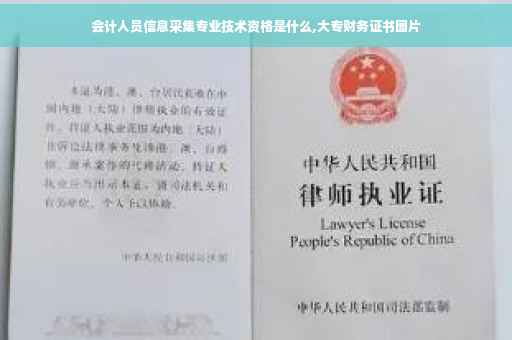 会计人员信息采集专业技术资格是什么,大专财务证书图片