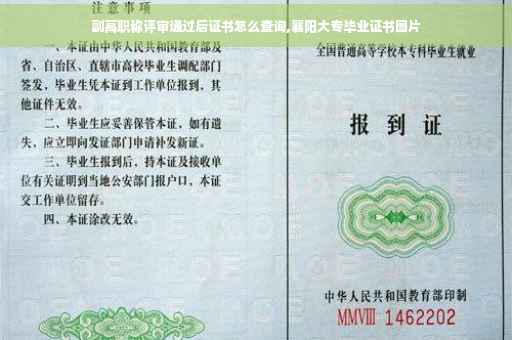 副高职称评审通过后证书怎么查询,襄阳大专毕业证书图片