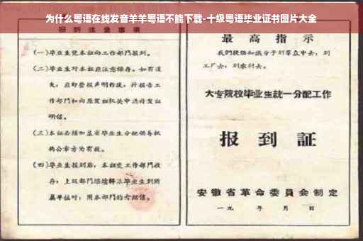 为什么粤语在线发音羊羊粤语不能下载-十级粤语毕业证书图片大全