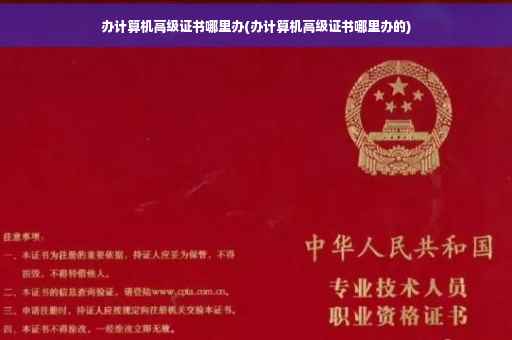 办计算机高级证书哪里办(办计算机高级证书哪里办的)