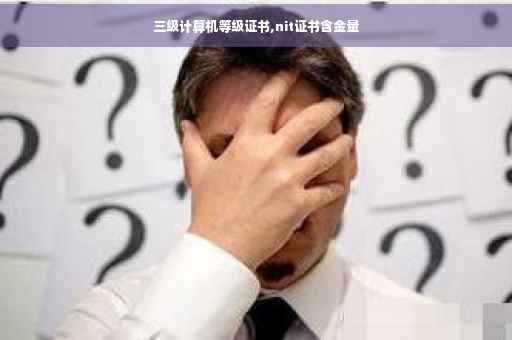 三级计算机等级证书,nit证书含金量