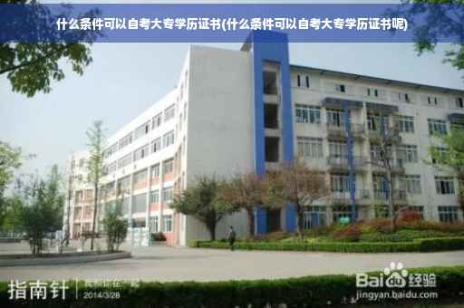 什么条件可以自考大专学历证书(什么条件可以自考大专学历证书呢)