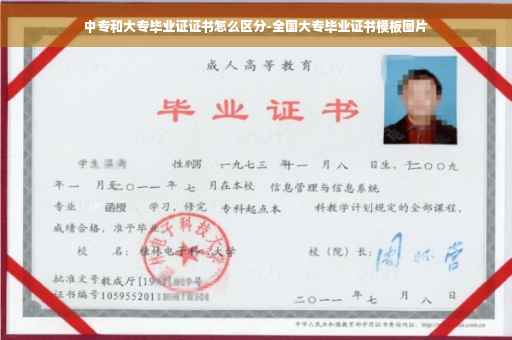 中专和大专毕业证证书怎么区分-全国大专毕业证书模板图片
