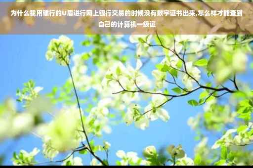 为什么我用建行的U盾进行网上银行交易的时候没有数字证书出来,怎么样才能查到自己的计算机一级证