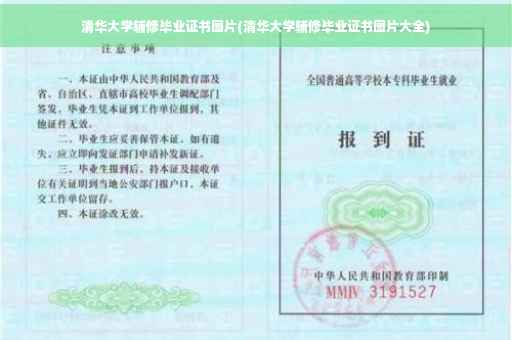 清华大学辅修毕业证书图片(清华大学辅修毕业证书图片大全)