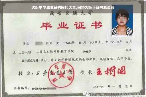 火炬中学毕业证书图片大全,网络火炬手证书怎么领