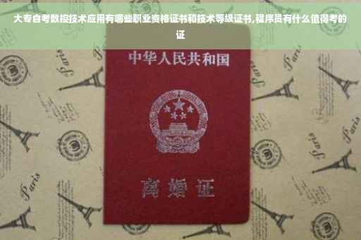 大专自考数控技术应用有哪些职业资格证书和技术等级证书,程序员有什么值得考的证