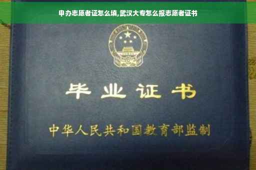 申办志愿者证怎么填,武汉大专怎么报志愿者证书