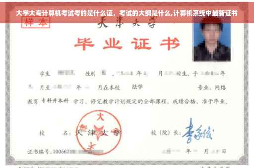 大学大专计算机考试考的是什么证，考试的大纲是什么,计算机系统中最新证书