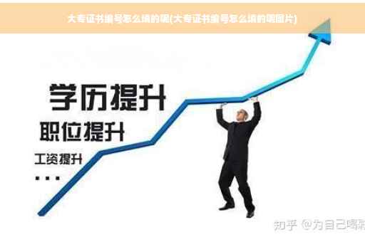 大专证书编号怎么填的呢(大专证书编号怎么填的呢图片)