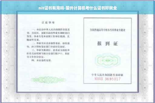 nit证书有用吗-国外计算机考什么证书好就业