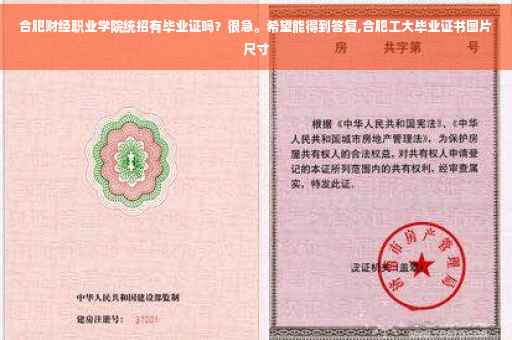 合肥财经职业学院统招有毕业证吗？很急。希望能得到答复,合肥工大毕业证书图片尺寸