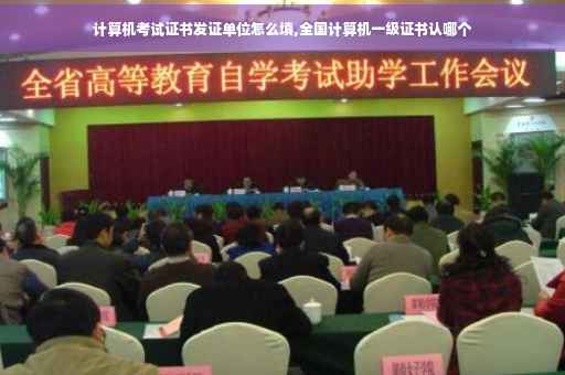 计算机考试证书发证单位怎么填,全国计算机一级证书认哪个