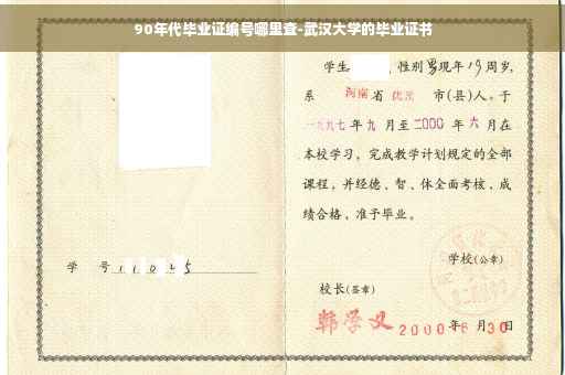 90年代毕业证编号哪里查-武汉大学的毕业证书