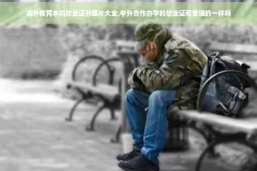 海外教育本科毕业证书图片大全,中外合作办学的毕业证和普通的一样吗