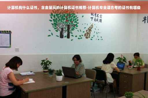计算机有什么证书，含金量高的计算机证书推荐-计算机专业适合考的证书有哪些
