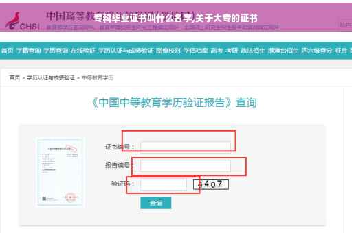 专科毕业证书叫什么名字,关于大专的证书