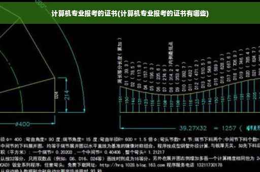 计算机专业报考的证书(计算机专业报考的证书有哪些)