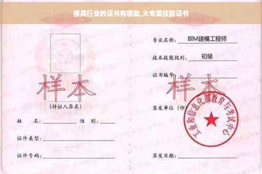 模具行业的证书有哪些,大专里技能证书