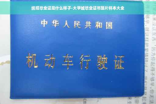 统招毕业证是什么样子-大学城毕业证书图片样本大全