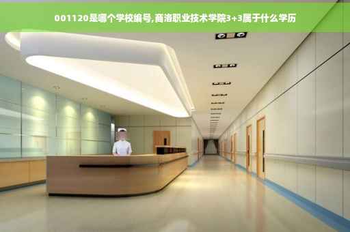 001120是哪个学校编号,商洛职业技术学院3+3属于什么学历