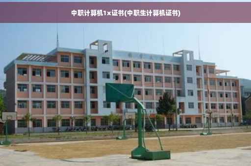 中职计算机1x证书(中职生计算机证书)