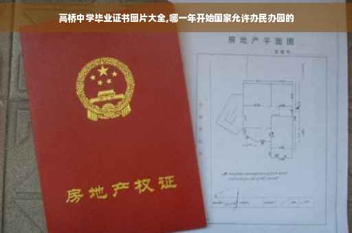 高桥中学毕业证书图片大全,哪一年开始国家允许办民办园的