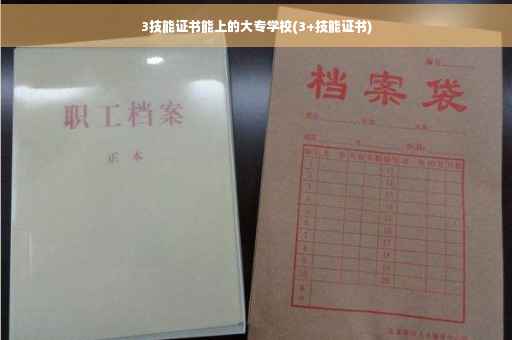 3技能证书能上的大专学校(3+技能证书)