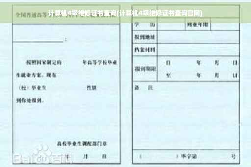 计算机4级维修证书查询(计算机4级维修证书查询官网)