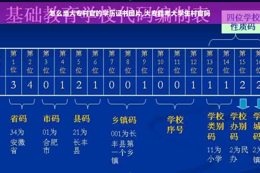怎么当大专村官的学历证书图片,大专能考大学生村官吗