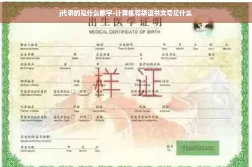 j代表的是什么数字-计算机等级证书文号是什么