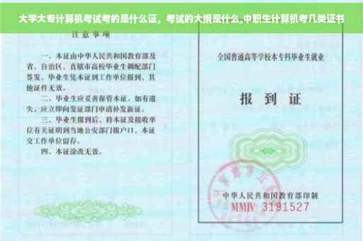 大学大专计算机考试考的是什么证，考试的大纲是什么,中职生计算机考几类证书