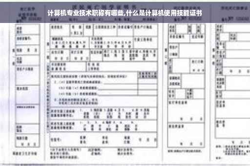 计算机专业技术职称有哪些,什么是计算机使用技能证书