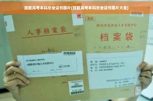 技能高考本科毕业证书图片(技能高考本科毕业证书图片大全)
