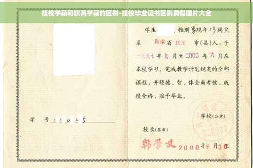 技校学籍和职高学籍的区别-技校毕业证书区别真假图片大全