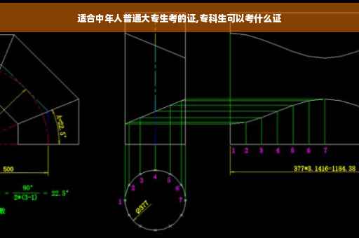 适合中年人普通大专生考的证,专科生可以考什么证
