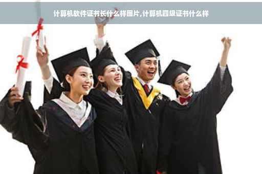 计算机软件证书长什么样图片,计算机四级证书什么样