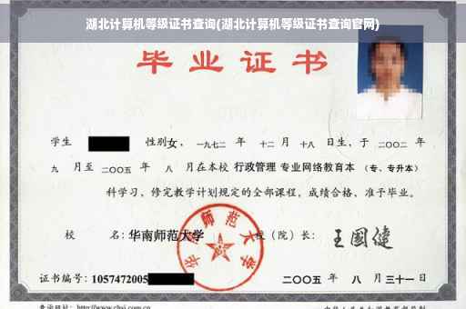 湖北计算机等级证书查询(湖北计算机等级证书查询官网)