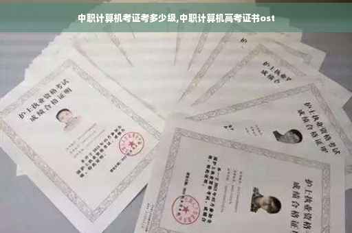 中职计算机考证考多少级,中职计算机高考证书ost