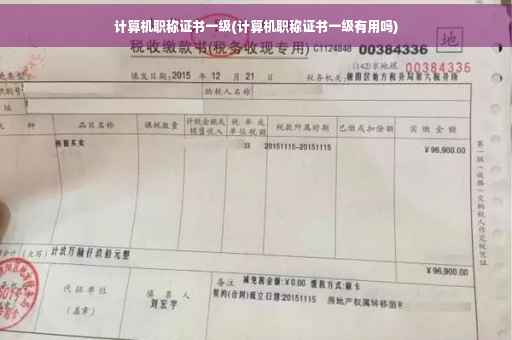 计算机职称证书一级(计算机职称证书一级有用吗)